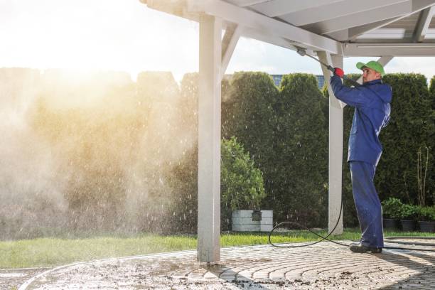 Trusted Robins Af, GA Pressure Washing Services Experts